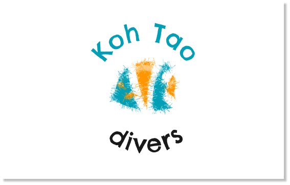 Koh Tao           divers