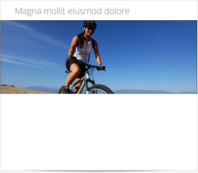 Magna mollit eiusmod dolore